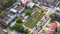 I nuovi contadini urbani