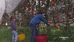 Contadino per un giorno