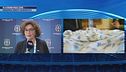 Elezioni Figc live