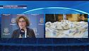 Elezioni Figc live