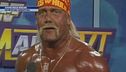 Addio Hulk Hogan