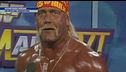Addio Hulk Hogan
