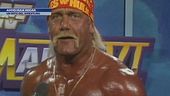 Addio Hulk Hogan