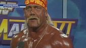 Addio Hulk Hogan