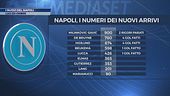 I nuovi del Napoli: luci e ombre
