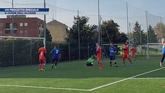 Il cuore dell'Alcione