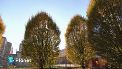 Puntata del 5 gennaio