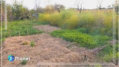 Puntata del 19 gennaio