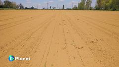 Puntata del 26 gennaio