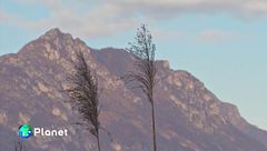 Puntata del 2 febbraio