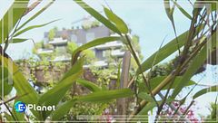 Puntata del 13 aprile