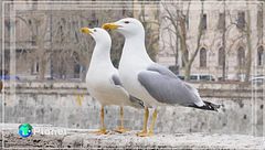 Puntata del 20 aprile