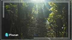 Puntata del 4 maggio