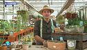E-Garden: Piante succulente