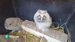 Puntata dell'1 giugno