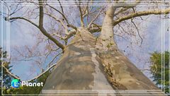 Puntata del 29 giugno