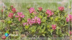 Puntata del 13 luglio