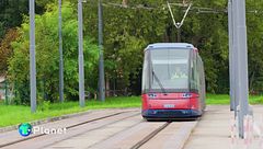 Padova punta al green