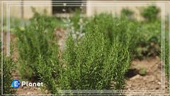 Puntata del 27 luglio