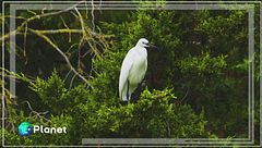 Puntata del 5 ottobre