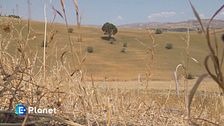 Puntata del 19 ottobre