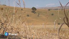 Puntata del 19 ottobre