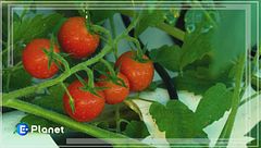 Puntata del 26 ottobre