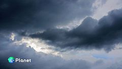 Puntata del 23 novembre