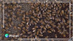 Puntata del 30 novembre