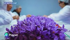 Puntata del 21 dicembre