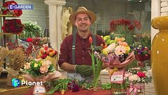 E-Garden: prolungare la vita dei fiori