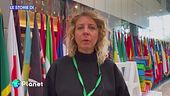 Le decisioni della COP16 bis