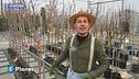 Come scegliere il posto giusto per gli alberi da frutto