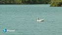 Il lago Mezzetta