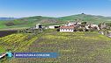 Agricoltura a Corleone
