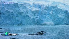 Le storie di LifeGate