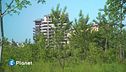 Un'agriforesta in città