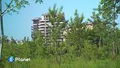 Un'agriforesta in città