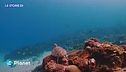 Gli oceani, sostenere ciò che ci sostiene