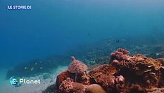 Gli oceani, sostenere ciò che ci sostiene