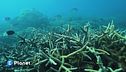 Il nostro oceano il nostro futuro