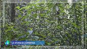 Siamo natura