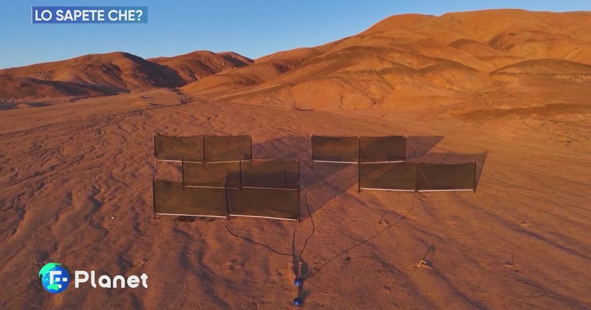 E-Planet: Lo sapete che? Video | Mediaset Infinity