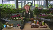 E-Garden