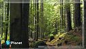 Natura, cura per lo spirito