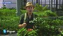 E-Garden: le fragole