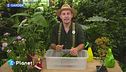 E-Garden: pratiche sos