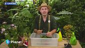 E-Garden: pratiche sos