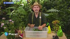 E-Garden: pratiche sos