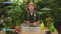 E-Garden: pratiche sos